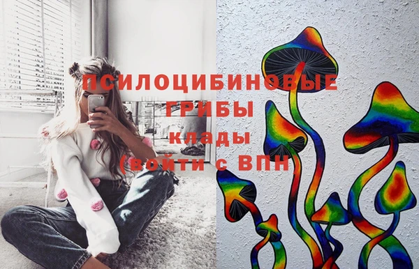 дживик Баксан