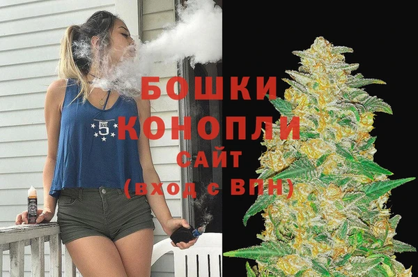 дживик Баксан