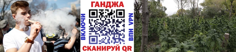 как найти   Белый  Каннабис MAZAR 